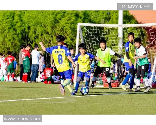 湖南足球电话助力青少年足球发展打造足球强省新未来 湖南足球电话助力青少年足球发展打造足球强省新未来