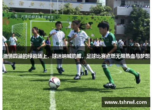 激情四溢的绿茵场上，球迷呐喊助威，足球比赛点燃无限热血与梦想