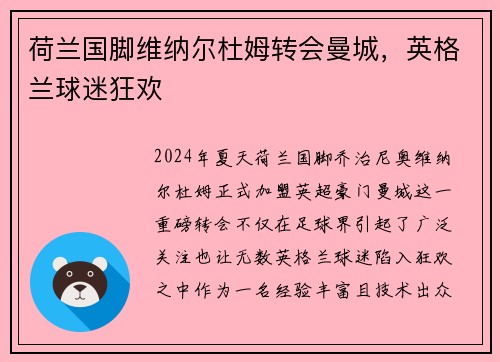 荷兰国脚维纳尔杜姆转会曼城，英格兰球迷狂欢