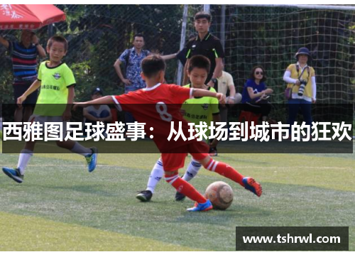 西雅图足球盛事：从球场到城市的狂欢