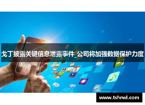 戈丁披露关键信息泄露事件_公司将加强数据保护力度