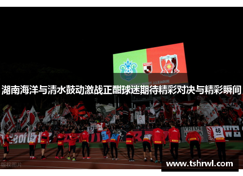 湖南海洋与清水鼓动激战正酣球迷期待精彩对决与精彩瞬间
