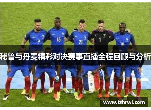 秘鲁与丹麦精彩对决赛事直播全程回顾与分析