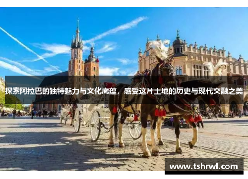 探索阿拉巴的独特魅力与文化底蕴，感受这片土地的历史与现代交融之美